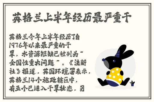 亚洲MV砖码砖专一2020