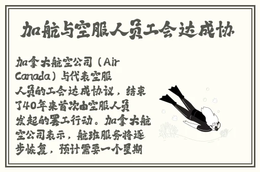 午夜dj影院视频观看